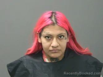 Mugshot of Alejandra Ruiz