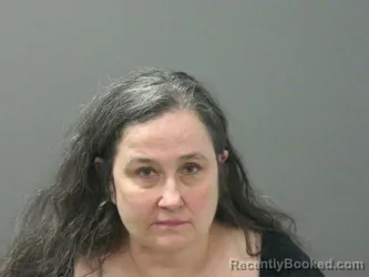Mugshot of Vicki Hodges