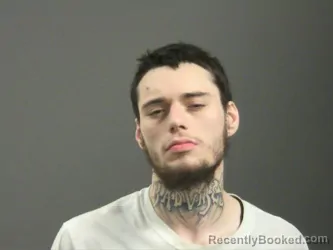 Mugshot of Niqolas Wood