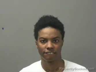 Booking photo from Washington County, Arkansas