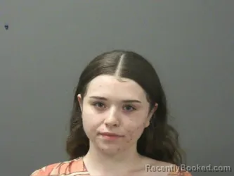 Booking photo from Washington County, Arkansas