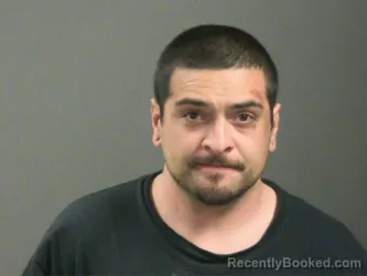 Booking photo from Washington County, Arkansas