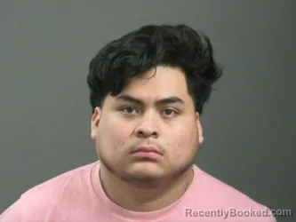 Booking photo from Washington County, Arkansas