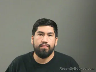 Mugshot of Henry Martinez booked in Washington County, Arkansas on March 14, 2026