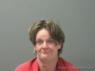 Mugshot of Heather Johnson booked in Washington County, Arkansas on March 14, 2026