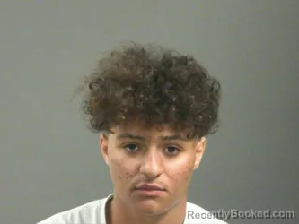 Mugshot of Phelandis Jackson booked in Washington County, Arkansas on March 15, 2026