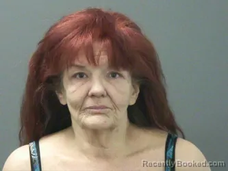 Mugshot of Lee Williams booked in Washington County, Arkansas on March 16, 2026