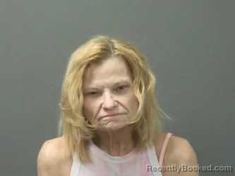 Mugshot of Lois Howard booked in Washington County, Arkansas on March 18, 2026