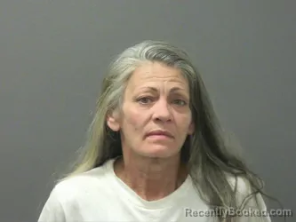 Mugshot of Melissa Fields booked in Washington County, Arkansas on March 18, 2026