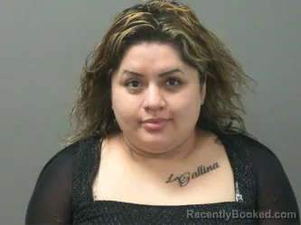 Mugshot of Beatriz Felipe-Reyes booked in Washington County, Arkansas on March 21, 2026