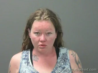 Mugshot of Megan Williams booked in Washington County, Arkansas on March 22, 2026