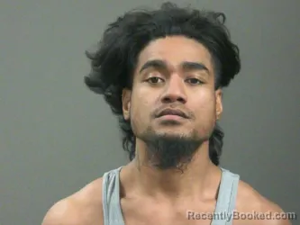 Mugshot of Henry Alee booked in Washington County, Arkansas on March 23, 2026