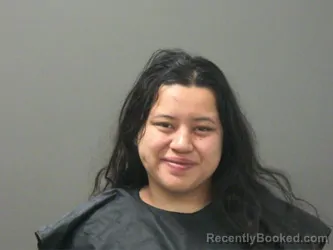 Mugshot of Christine Valentine booked in Washington County, Arkansas on March 24, 2026