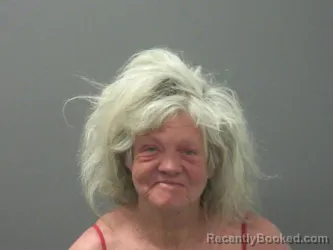 Mugshot of Sammye Siebert booked in Washington County, Arkansas on March 24, 2026