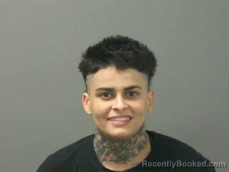 Mugshot of Michelle Cruz-Aviles booked in Washington County, Arkansas on March 28, 2026