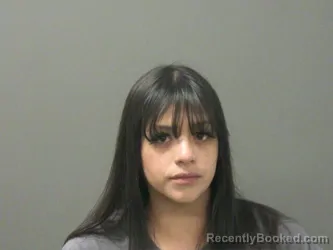 Mugshot of Cassandra Parks booked in Washington County, Arkansas on March 28, 2026