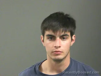 Mugshot of Andrew Ellison booked in Washington County, Arkansas on March 29, 2026