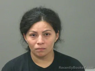 Mugshot of Reyna Martinez-De-Chavez booked in Washington County, Arkansas on March 29, 2026