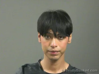 Mugshot of Alan Lopez-Martinez booked in Washington County, Arkansas on April 4, 2026