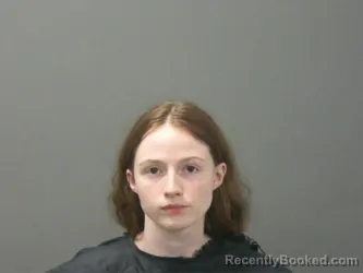 Mugshot of Susan Demoss booked in Washington County, Arkansas on April 5, 2026