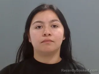 Mugshot of Maria Gallardo booked in Washington County, Arkansas on May 24, 2026