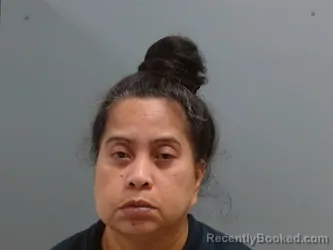 Mugshot of Susanlyn Stephen booked in Washington County, Arkansas on May 25, 2026