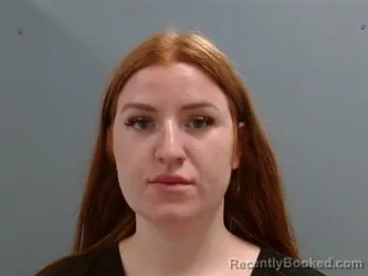 Booking photo from Washington County, Arkansas