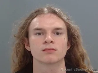 Mugshot of Zane Le booked in Washington County, Arkansas on June 15, 2026