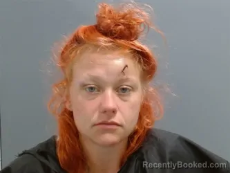 Mugshot of Holly Howard booked in Washington County, Arkansas on July 9, 2026