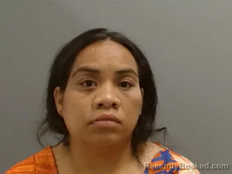 Mugshot of Rosie Harry booked in Washington County, Arkansas on July 27, 2026