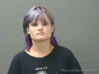 Mugshot of Whitney Stricklind booked in Washington County, Arkansas on August 2, 2026