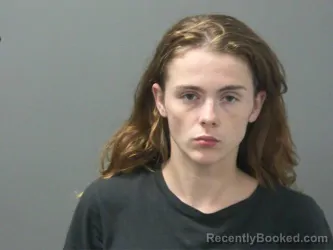 Mugshot of Desirae Hendren booked in Washington County, Arkansas on August 6, 2026