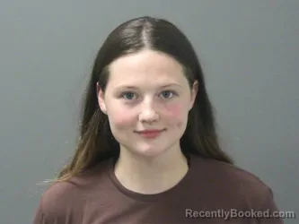 Mugshot of Josephine Barrick booked in Washington County, Arkansas on August 8, 2026