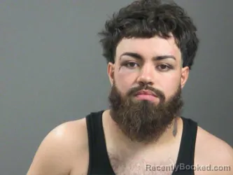 Mugshot of Daniel Alfaro booked in Washington County, Arkansas on August 9, 2026