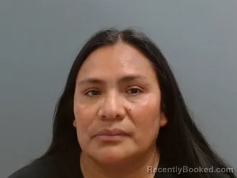 Mugshot of Silvia Perez-Mejia booked in Washington County, Arkansas on August 14, 2026