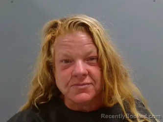 Mugshot of Denise Ryan booked in Washington County, Arkansas on August 15, 2026