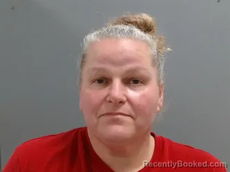 Mugshot of Lisa Johnston booked in Washington County, Arkansas on October 2, 2026