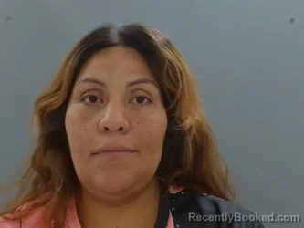 Mugshot of Claudia Araujo booked in Washington County, Arkansas on October 22, 2026