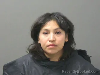 Mugshot of Maria Molina booked in Washington County, Arkansas on October 25, 2026