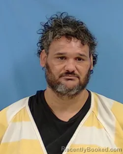 Booking photo from White County, Arkansas