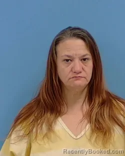 Mugshot of Tammy R Schmidt booked in White County, Arkansas on May 7, 2026