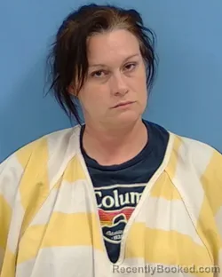 Mugshot of Jessica Nichelle Rayner booked in White County, Arkansas on June 12, 2026