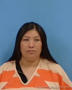 Mugshot of Rosa Bartolo Zapote booked in White County, Arkansas on May 12, 2026