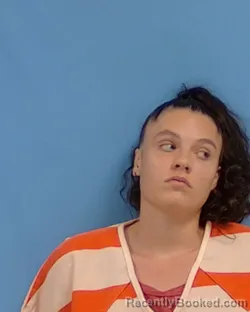 Mugshot of BRIANNA ANNE WILLIAMS booked in White County, Arkansas on April 14, 2026