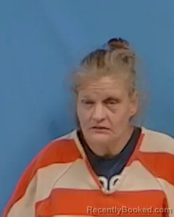 Mugshot of Tamie R Lara booked in White County, Arkansas on July 27, 2026