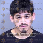 Booking photo from Maricopa County, Arizona