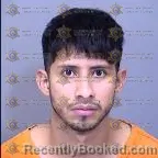 Booking photo from Maricopa County, Arizona