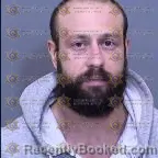 Mugshot of Andrew Edward Levich