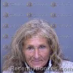 Mugshot of Debbie Kay Phillips