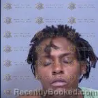 Mugshot of Elizabeth Lavon Webb